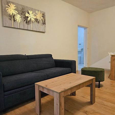 Apartmani Ljuba 罗戈兹尼察 外观 照片