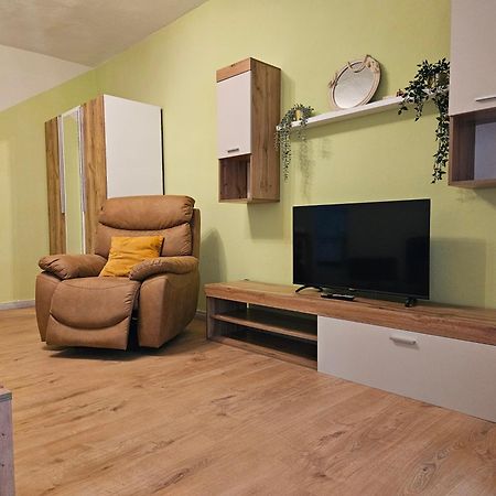 Apartmani Ljuba 罗戈兹尼察 外观 照片