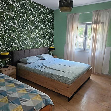Apartmani Ljuba 罗戈兹尼察 外观 照片
