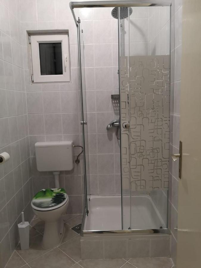 Apartmani Ljuba 罗戈兹尼察 外观 照片