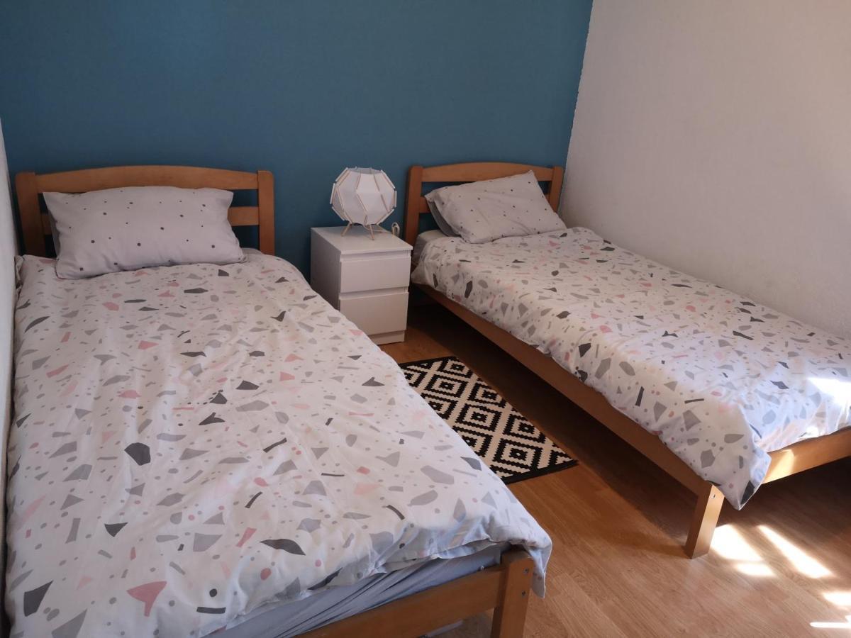 Apartmani Ljuba 罗戈兹尼察 外观 照片