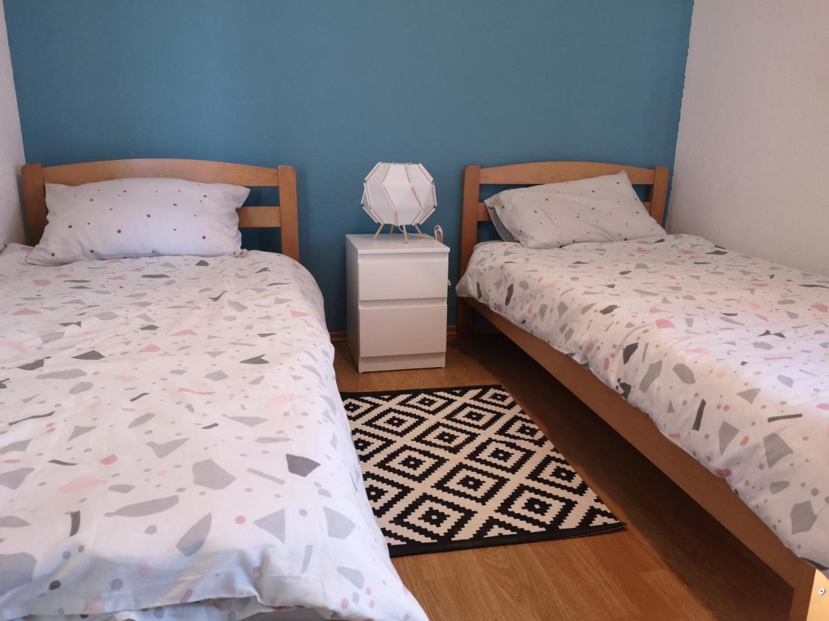 Apartmani Ljuba 罗戈兹尼察 外观 照片