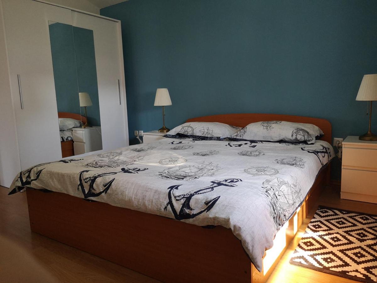 Apartmani Ljuba 罗戈兹尼察 外观 照片