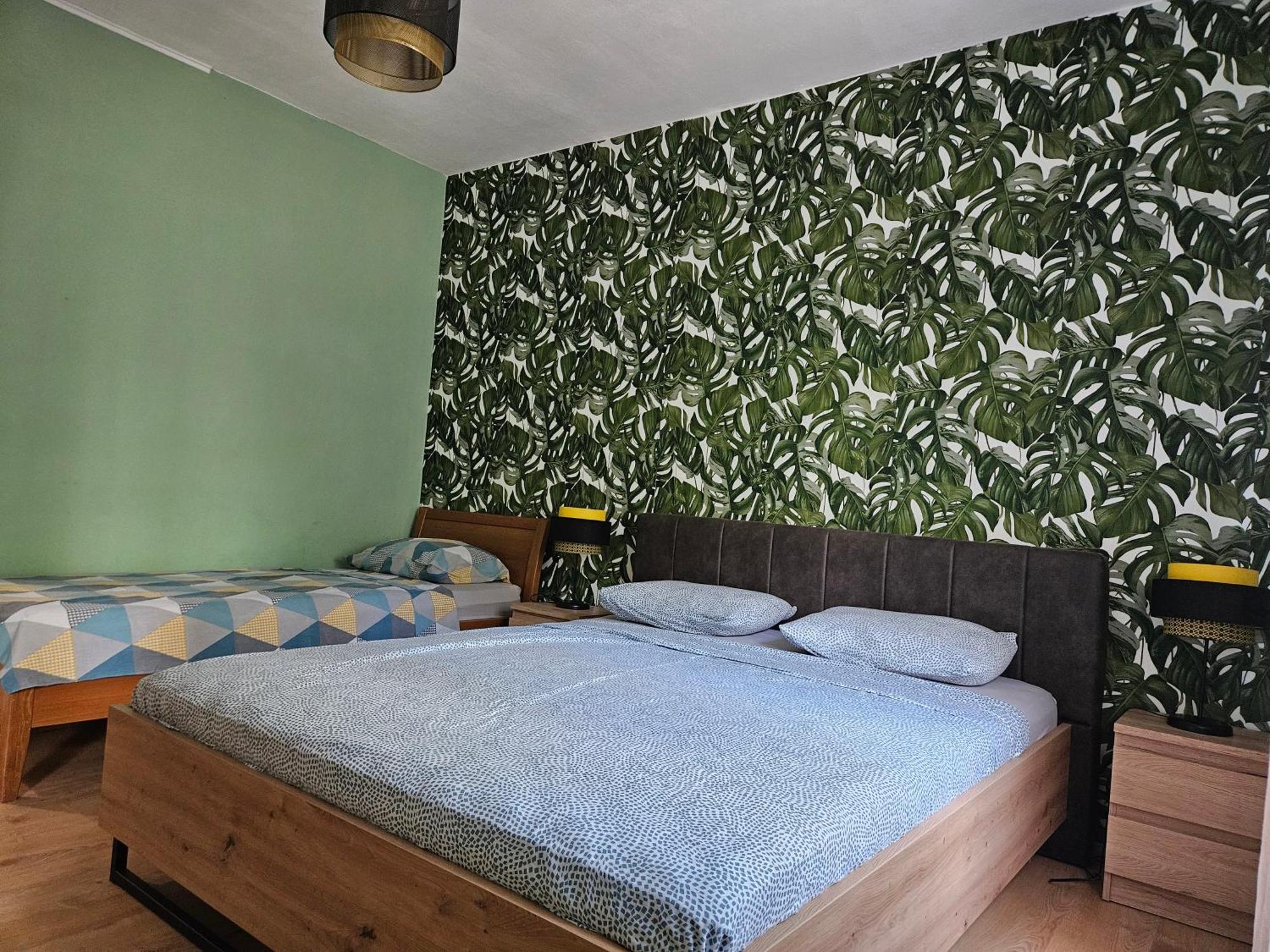 Apartmani Ljuba 罗戈兹尼察 外观 照片